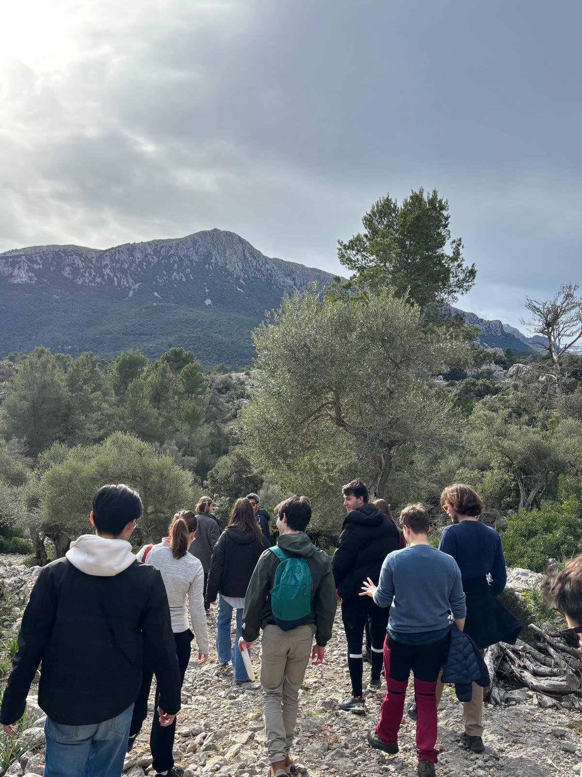 Hiking through Serra de Tamuntana