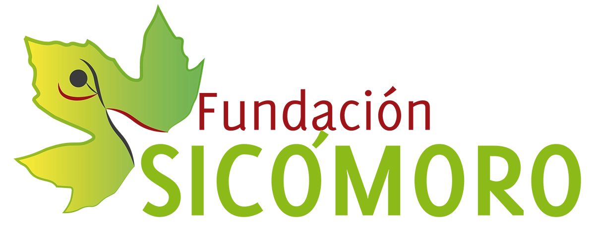 Logo Sicómoro Fundation